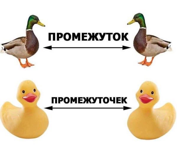 mirimirrrii's tweet photo. на этом интернет объявляю закрытым на сегодня https://t.co/VOOBo6xrz3
