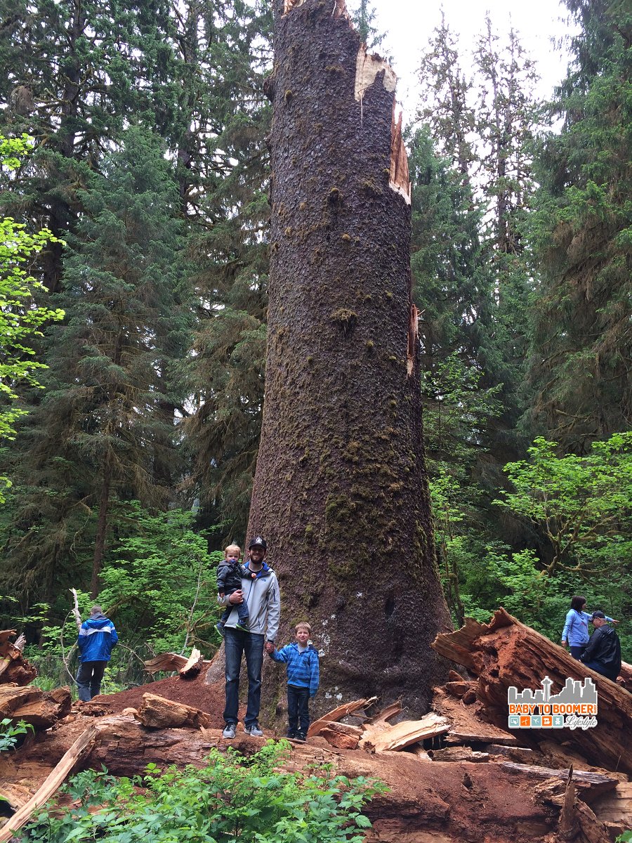 7 Things To Do On The Olympic Peninsula With Kids bit.ly/2n1e1le