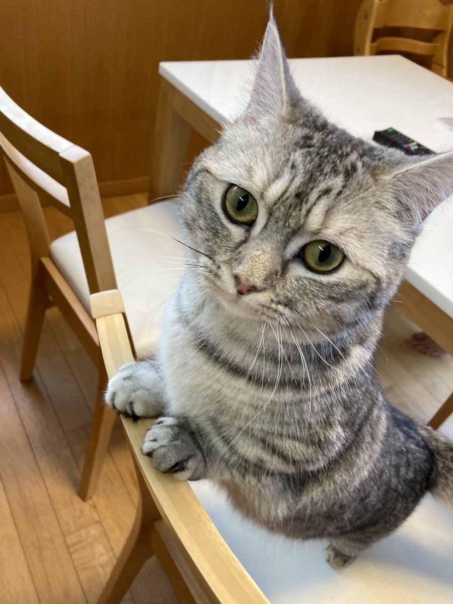 おはようミトさん