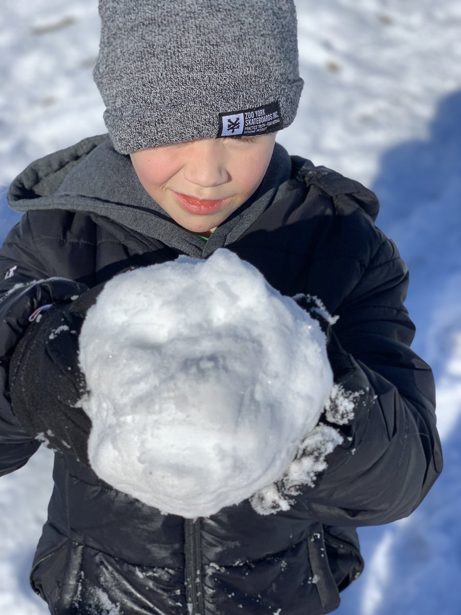 MrsChen_CCS's tweet photo. This student made a skull from snow! https://t.co/hcu2faFnFB