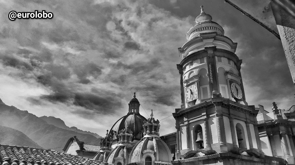 Euro Lobo tweet media