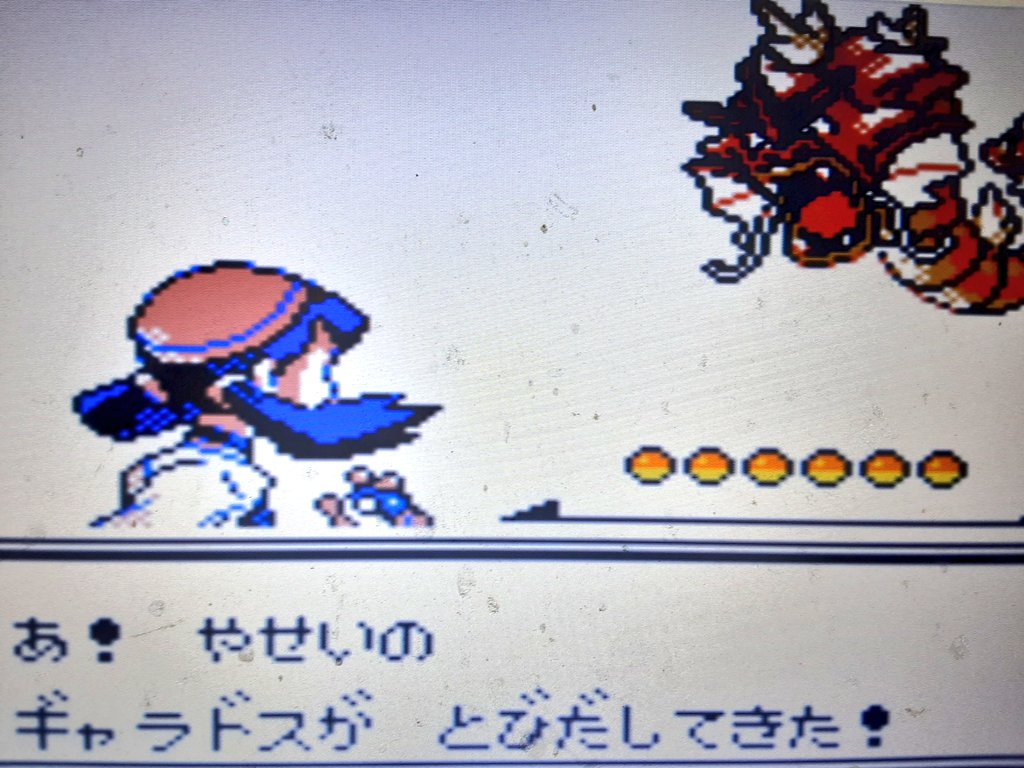 タスク 赤いギャラドスget 公式には悪い奴らの変な電波によって強制的に進化させられてコイキングの赤みが残ったまま進化させられたらしいね 世代的には色違いと言えば赤ギャラか金色ヨルノズクだね まぁランターンいるし前作でギャラ使ったから使う