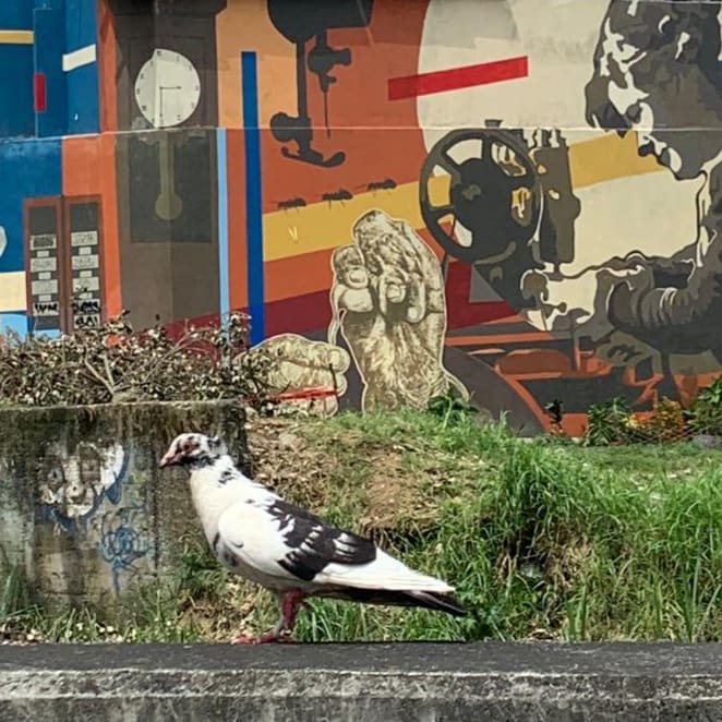 MergeN 🌐 tweet media