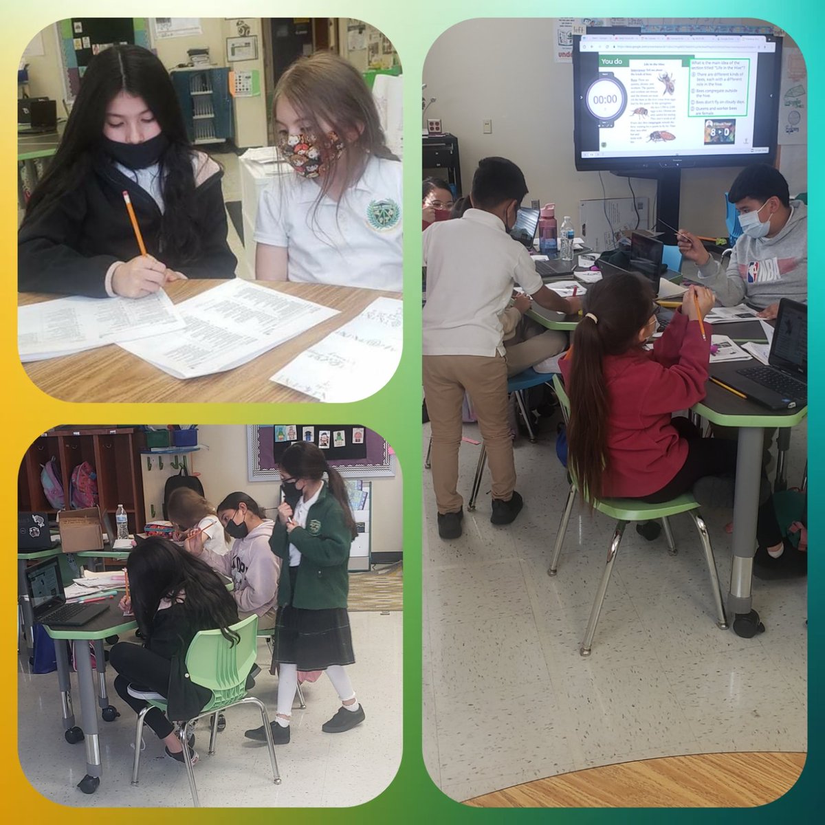 ElenaCardoza17's tweet photo. Confidence occurs through experience. Student agency in action: scholars coding fellow scholar question strategies. 🏫💚💡🤓 🌱
@HBGonzalezPLA 
@DallasReads 
@dallasschools 
@PersonalizeDISD https://t.co/uNEaDbjPqv