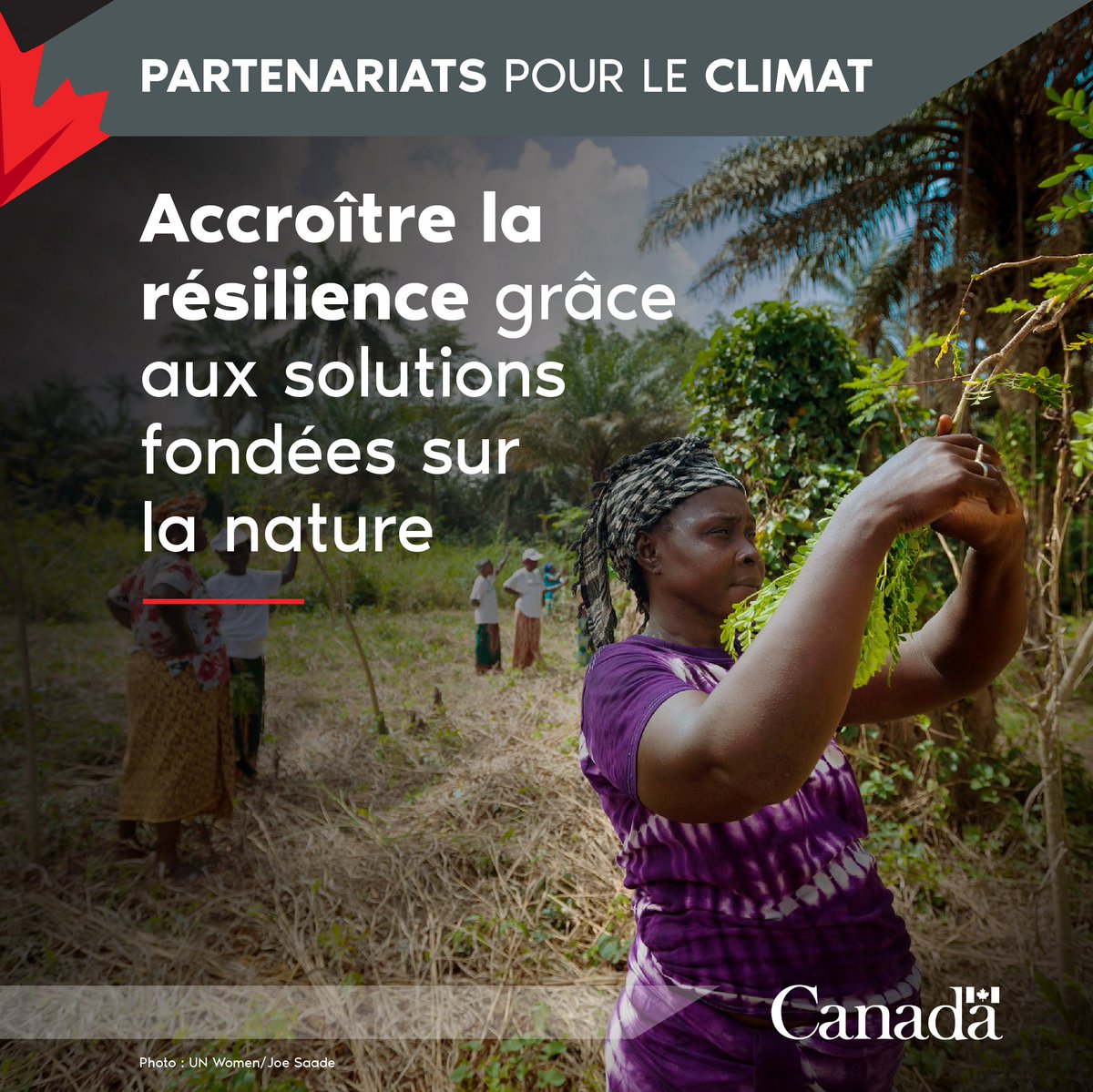 DevCanada's tweet image. Les changements climatiques nous concernent tous et nous avons tous un rôle à jouer dans la création de #SolutionsDurables.  

Demain, joignez-vous au min. Sajjan pour une discussion sur l’adaptation aux changements climatiques et l’influence des solutions basées sur la nature.