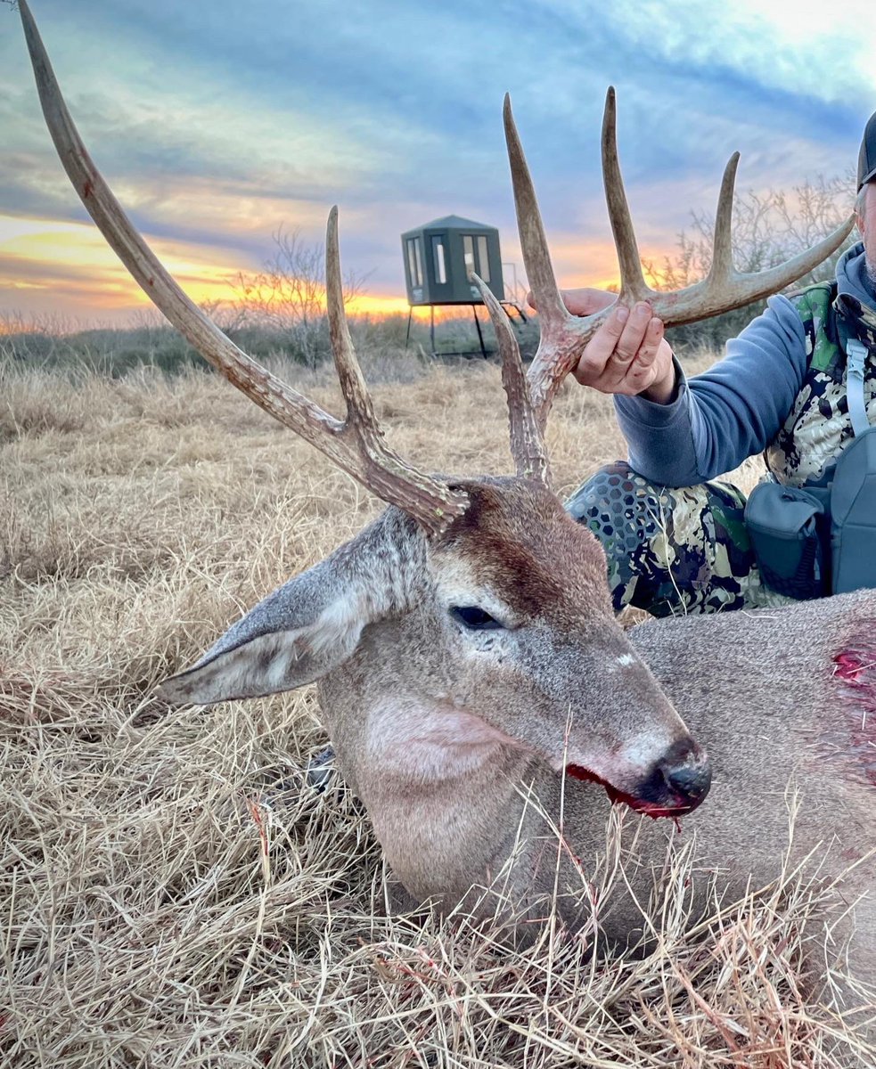 One of the coolest 7 points we’ve ever hunted! #hunting