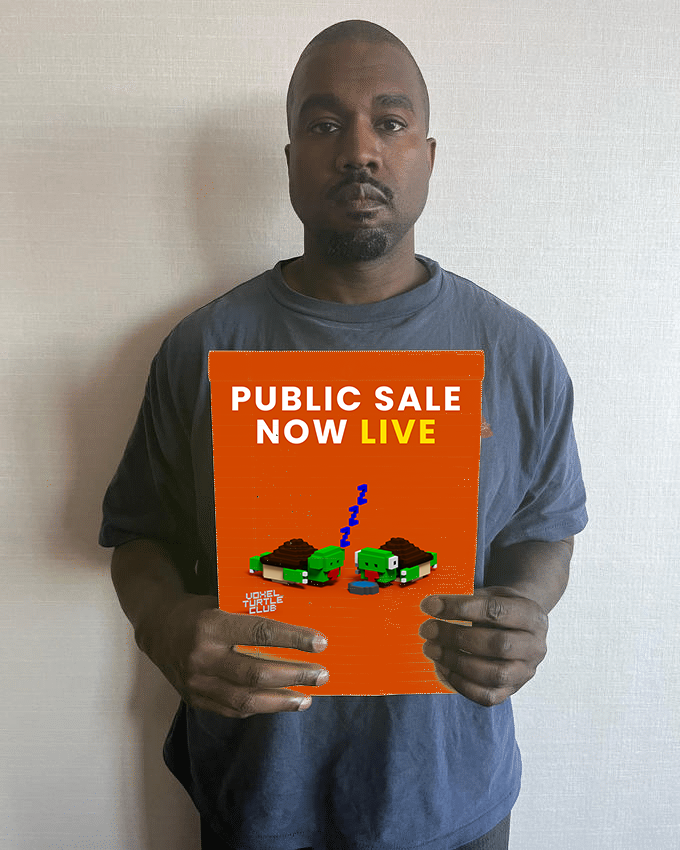 Voxel Turtle Club tweet media