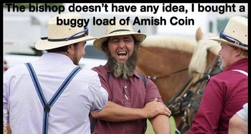 Carma_Dawn's tweet photo. @Papa1980Perry @CryptoGrizman #amishcoin #BSC #BSCGem https://t.co/GZ6M5EhiTi