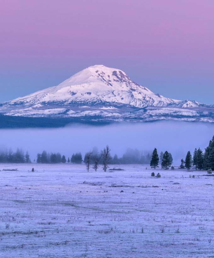 Sharing a little Portland beauty for all this Wednesday.
👉 Tag either #bridgeliner or <a href="/bridgeliner/">Bridgeliner</a> on your 📸 photos to be featured on Bridgeliner's Twitter.  (📸: Nicolae Gheorghe)
#livelikeyoulivehere #portland #portlandlocal #portlandoregon #livelikeyoulivehere⭐️❤️