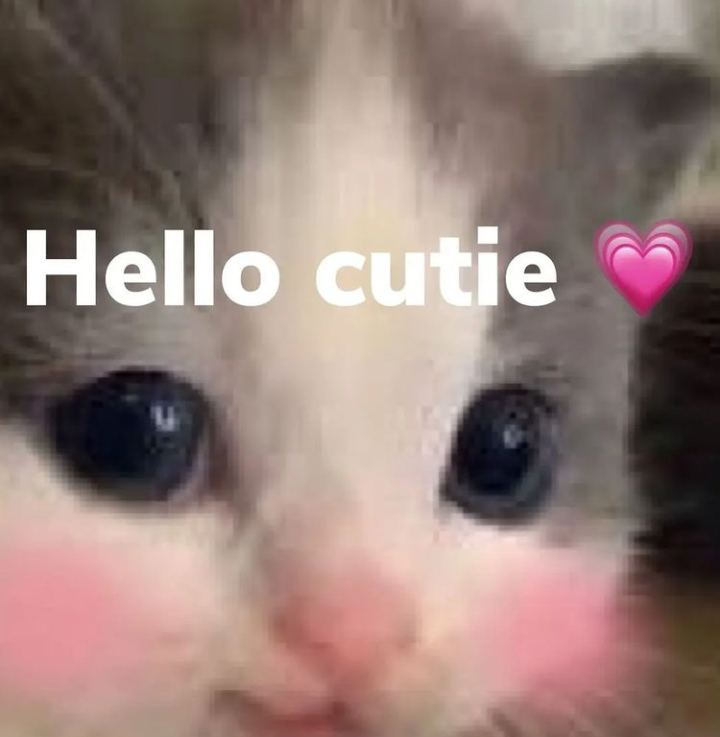 LAImposters's tweet photo. hi @Ripa_ow https://t.co/c4Xnh08V5r