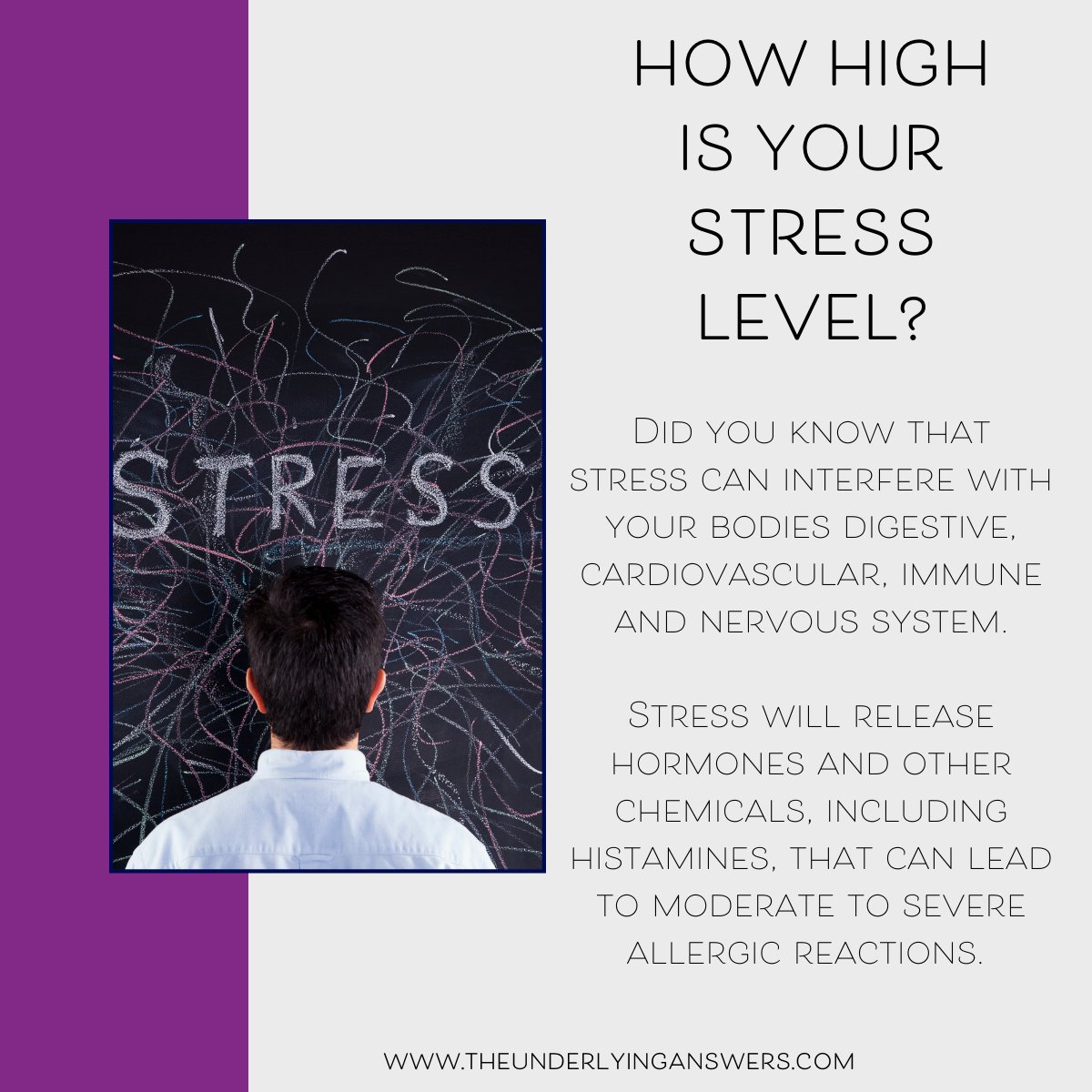 costley_cindy's tweet photo. Managing your #stress is vital if you #suffer from moderate to severe #allergic reactions or a mast cell disorder.
#mastcelldisorder #allergies #trauma #healing https://t.co/GowzhRhv4T