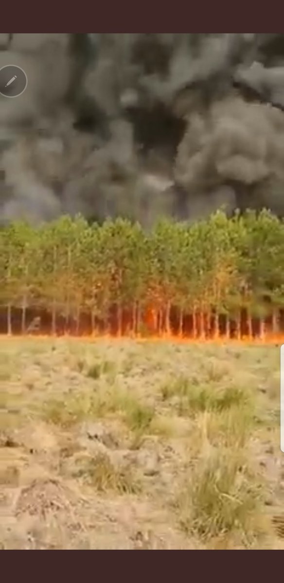 ClaudiaBeltzer's tweet image. Un poco de solidaridad con los correntinos. Por favor, hacemos tendencia mil boludeces y no somos capaces de hacer tendencia. #SOSCorrientes #SOSEsterosDelIbera #RenunciaCabandie