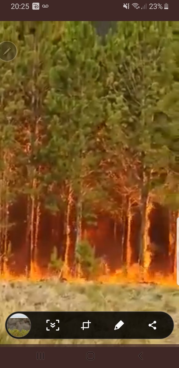 ClaudiaBeltzer's tweet image. Un poco de solidaridad con los correntinos. Por favor, hacemos tendencia mil boludeces y no somos capaces de hacer tendencia. #SOSCorrientes #SOSEsterosDelIbera #RenunciaCabandie