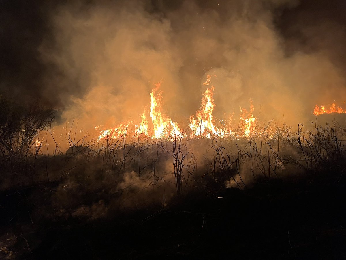 ClaudiaBeltzer's tweet image. Un poco de solidaridad con los correntinos. Por favor, hacemos tendencia mil boludeces y no somos capaces de hacer tendencia. #SOSCorrientes #SOSEsterosDelIbera #RenunciaCabandie