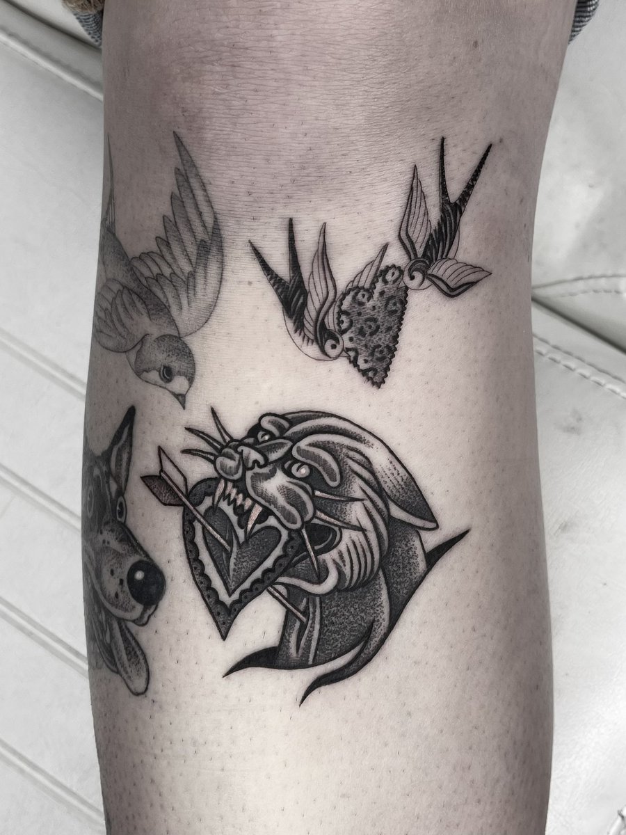 ⚂∃⚅ tweet media