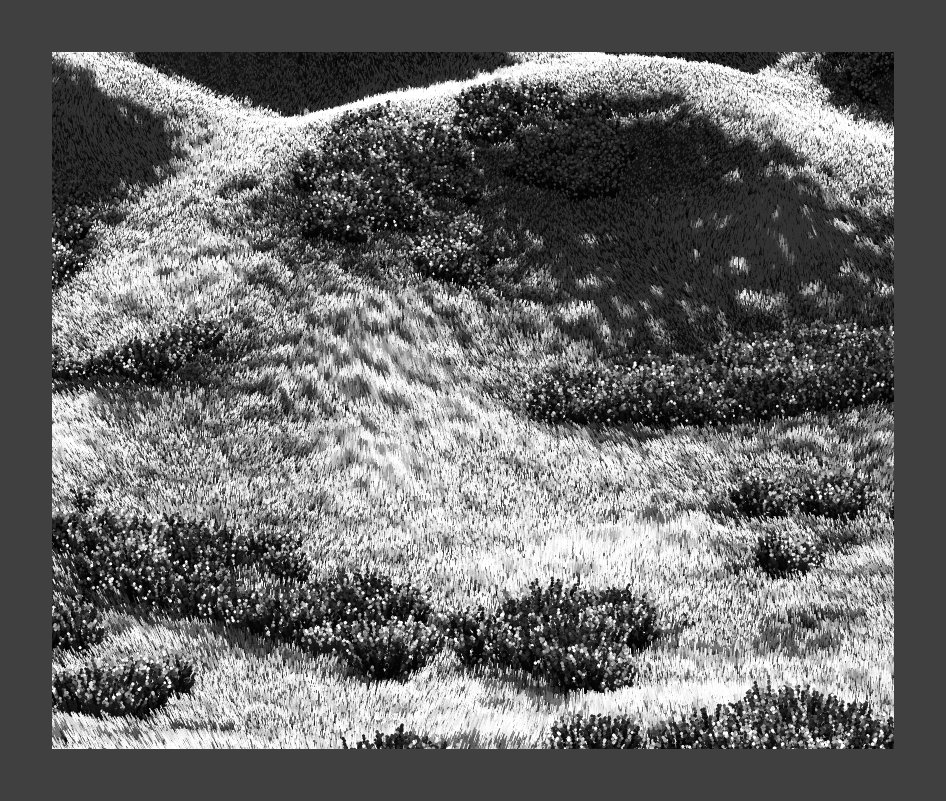 Nat Sarkissian tweet media