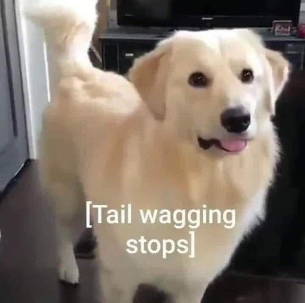 [tail wagging stops]