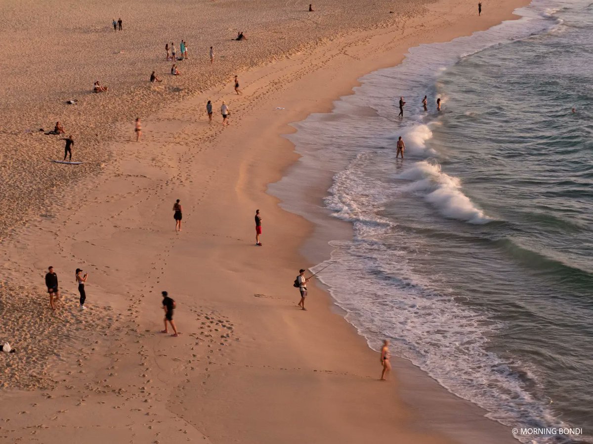 MorningBondi's tweet photo. Cracker! What a morning my friends! The sunrise was unreal with hundreds of people all around making the most of this glorious morning. As you will have all heard by now, yesterday a man got beaten to death by a great white in Litte Bay - very sad! #bondi #bondibeach https://t.co/Y0Rwv50yky