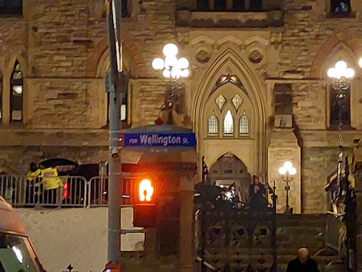 Why so many "p" blank" with bags????