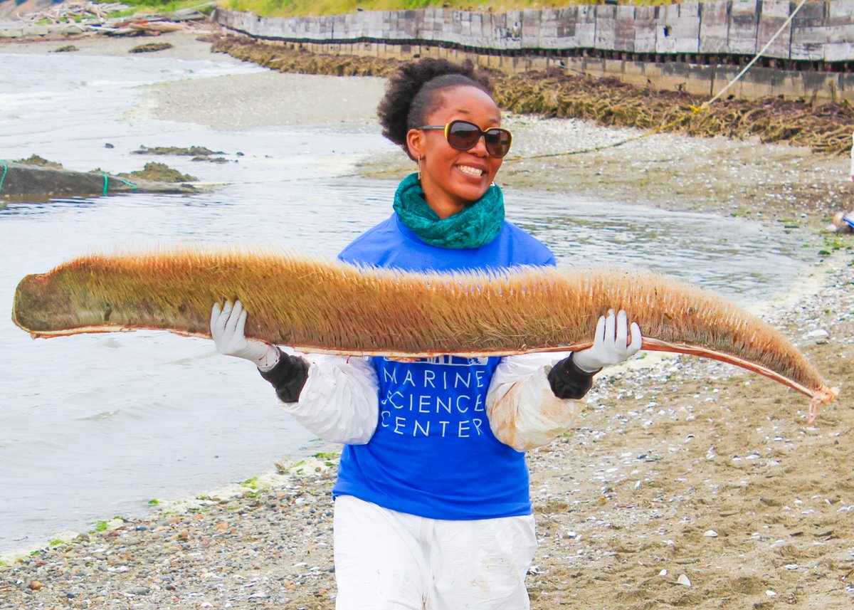 InsideNatGeo's tweet photo. #NatGeoExplorer Karlisa Callwood uses social science techniques to gain a holistic understanding of fisheries systems. “Because society and nature are so intertwined, it is critical to understand the role of fishers, consumers, and other stakeholders,” she says. 📸 by K. Callwood https://t.co/GK3kATWEqD