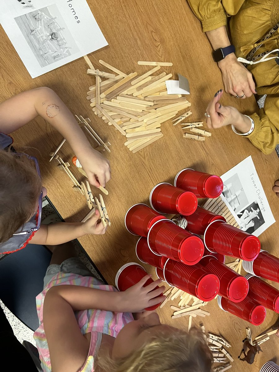 Courtney Schattle tweet media