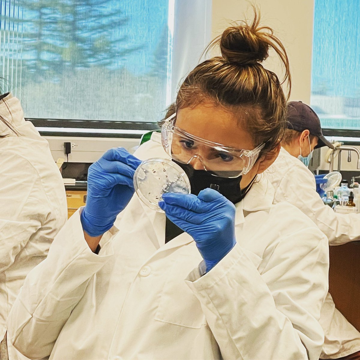SacState_TEN's tweet photo. Counting colonies!  Do any produce antibiotics?  Only time will tell @sacstate @TinyEarthNet https://t.co/2X2NxBRXbb