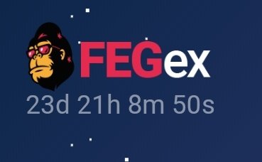 mj68ts's tweet photo. I'm just holding. Because I believe in you and thank you for this wonderful adventure. 

You will take me to the moon, I have no doubt. I wish everyone could understand the glory 🔥
Gorillas are strong together 💪🦍❤️
@lifeisdefi 
@FEGtoken
https://t.co/XKddzy4mxW
@cz_binance https://t.co/ZqrYsFQ0QB