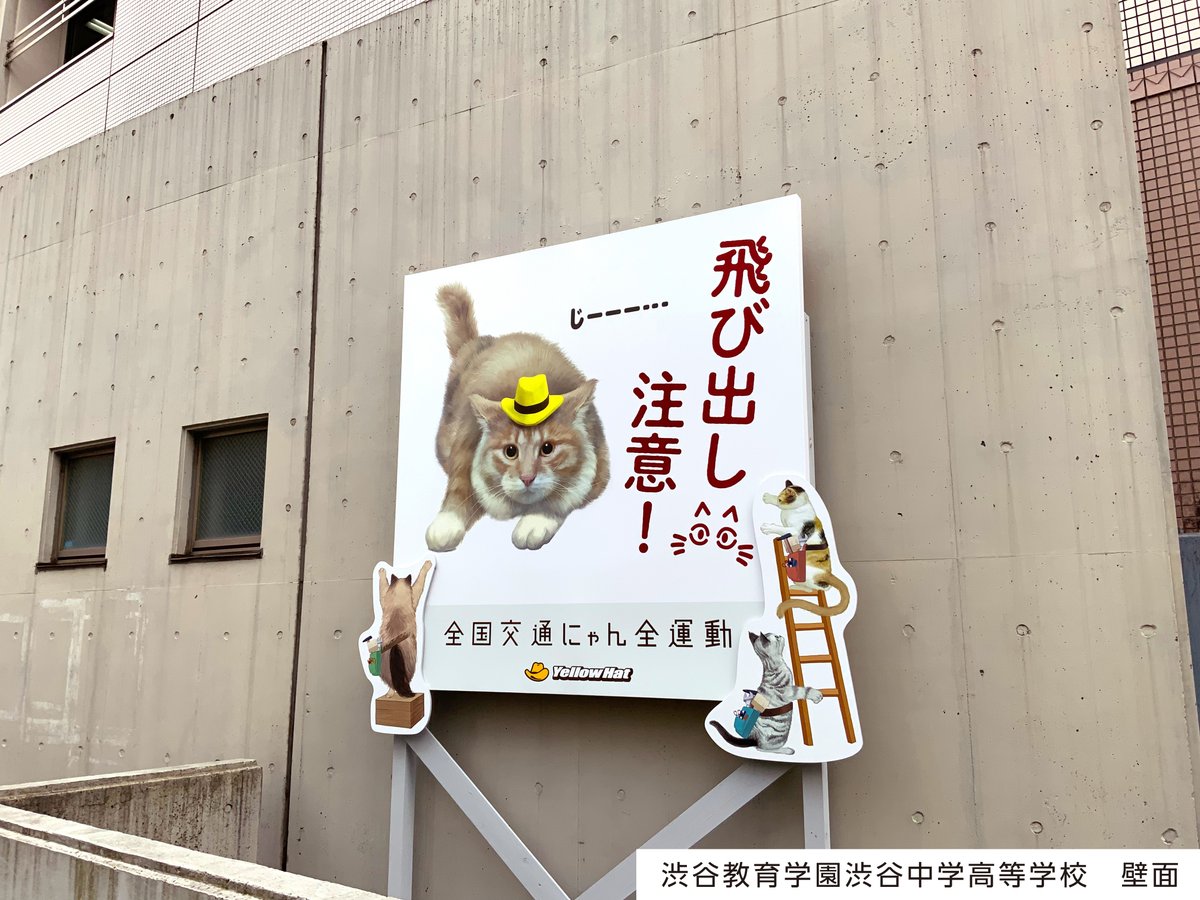 yellowhat_ltd's tweet photo. ◤　　　　　　　　　　　　 ◥
　　反射材で光る看板😺
 "キャット"ストリートに登場！

猫の交通事故を少しでも減らすため、
ドライバーに注意喚起する看板
「猫飛び出しサイン」を製作しました。

今後は全国的に広げたいと考えており、
まずは渋谷から！

掲載：2/28迄

#交通にゃん全 #猫の日 https://t.co/BZEI6hrPon