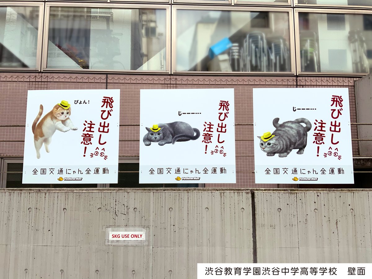 yellowhat_ltd's tweet photo. ◤　　　　　　　　　　　　 ◥
　　反射材で光る看板😺
 "キャット"ストリートに登場！

猫の交通事故を少しでも減らすため、
ドライバーに注意喚起する看板
「猫飛び出しサイン」を製作しました。

今後は全国的に広げたいと考えており、
まずは渋谷から！

掲載：2/28迄

#交通にゃん全 #猫の日 https://t.co/BZEI6hrPon