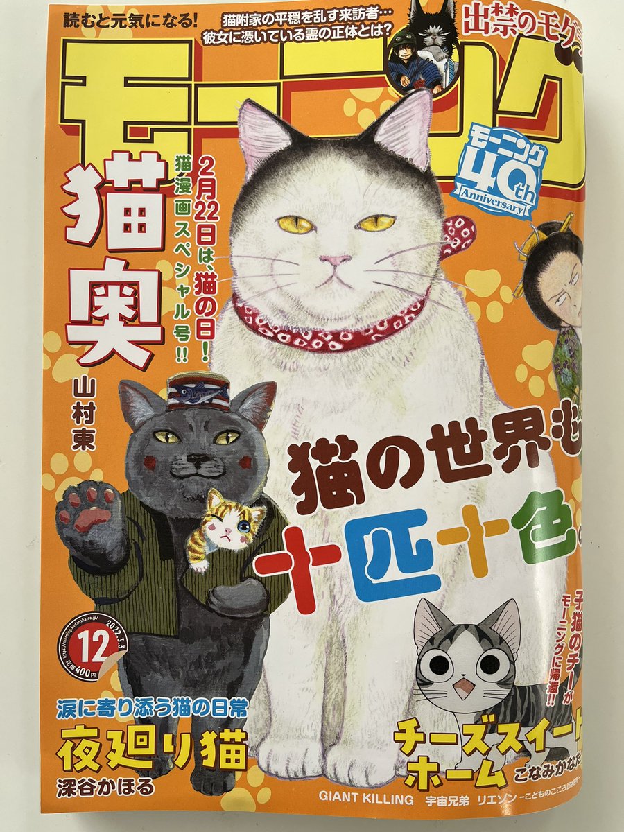 おはようございます
私は60歳ですが
世の中がこれほど厳しい状況だったことはない気がします
ひと休みしたい、していただきたい
気持ちを込めて
6枚の短いストーリー漫画を描きました
よかったらご覧ください

今日
ご無事で

#夜廻り猫
週刊モーニングに今回だけ掲載していただきます。今日発売です 