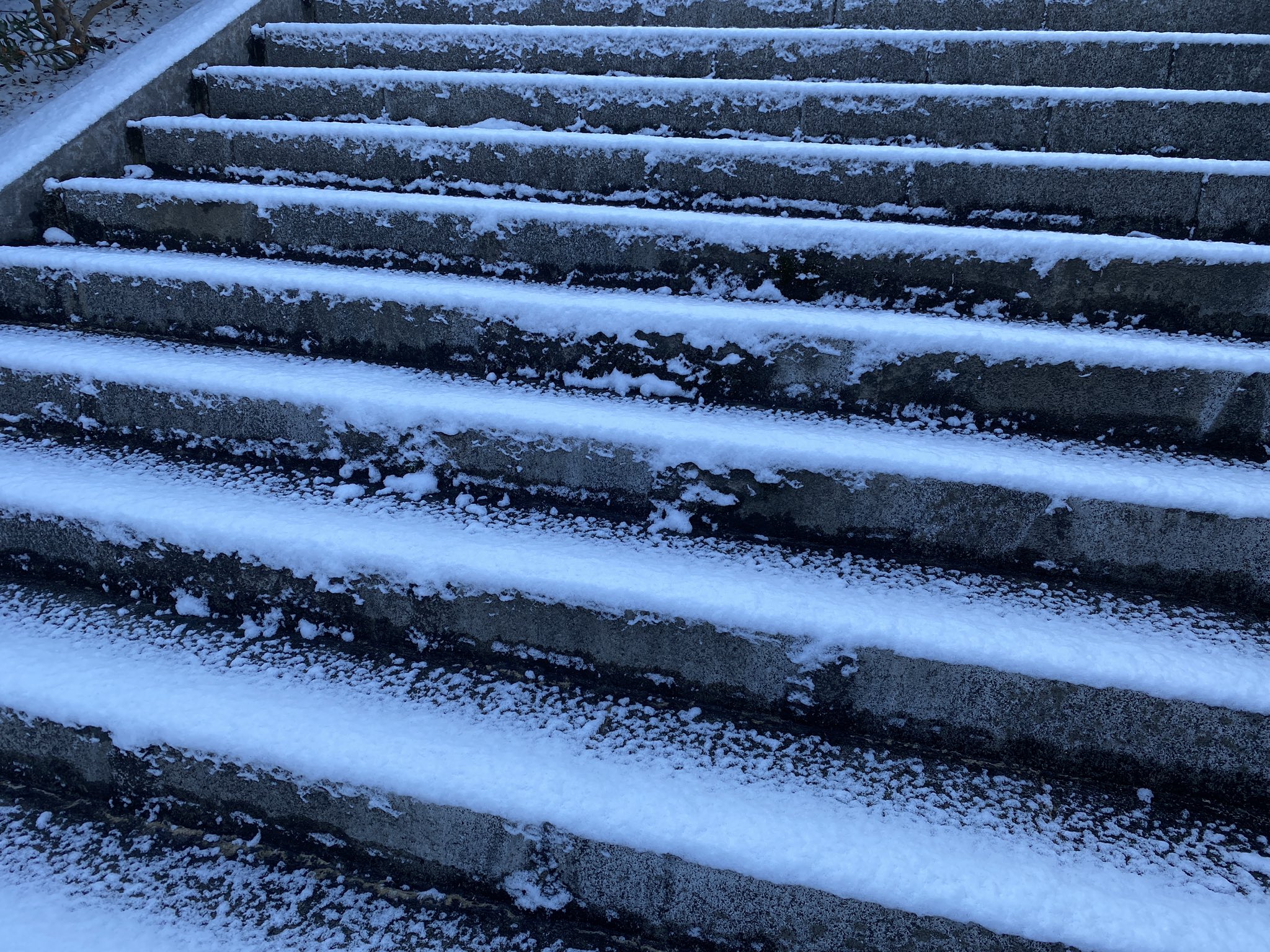 Tosohpark永源山on Twitter 雪景色 Tosohpark永源山 永源山公園 周南市 雪https T Co M5kaohuadw Twitter