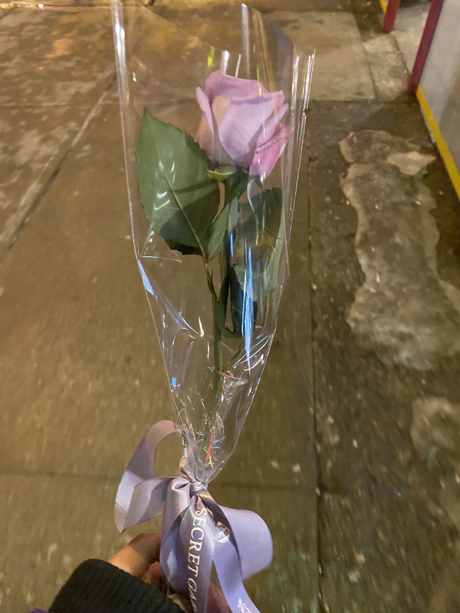 Jacob_Toronto's tweet image. 今日でトロント来て1年か〜
この1年で成長した実感ないなぁって考えてたら、バラの花買って左手に持ってたこと気付いて成長したなぁって実感した(なんの成長やねん)
あと9ヶ月くらい頑張りますか〜