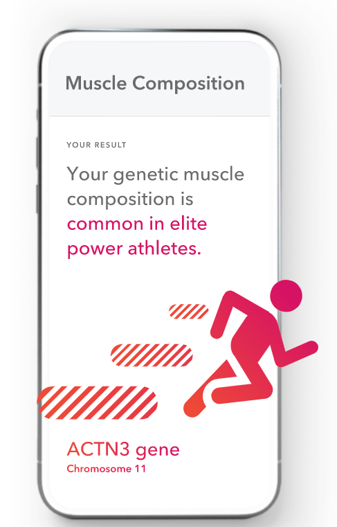 _RachelAnastasi's tweet photo. @23andMe shows many cool traits about yourself that you wouldn't expect to see when you get your genetics tested. In this image, 23andMe shows the results of a test regarding muscle composition! #prescottgenomics https://t.co/WJ57vMwkVq