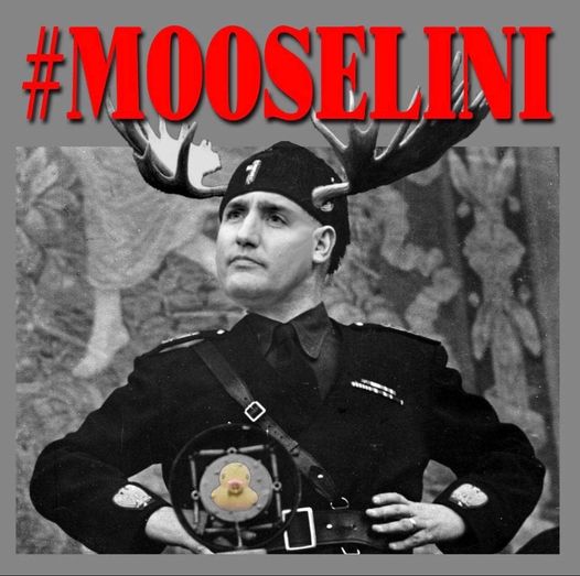 RicardoNicarag1's tweet photo. @GadSaad I try to stay away... but I could not resist https://t.co/ZcGj2eAHtm