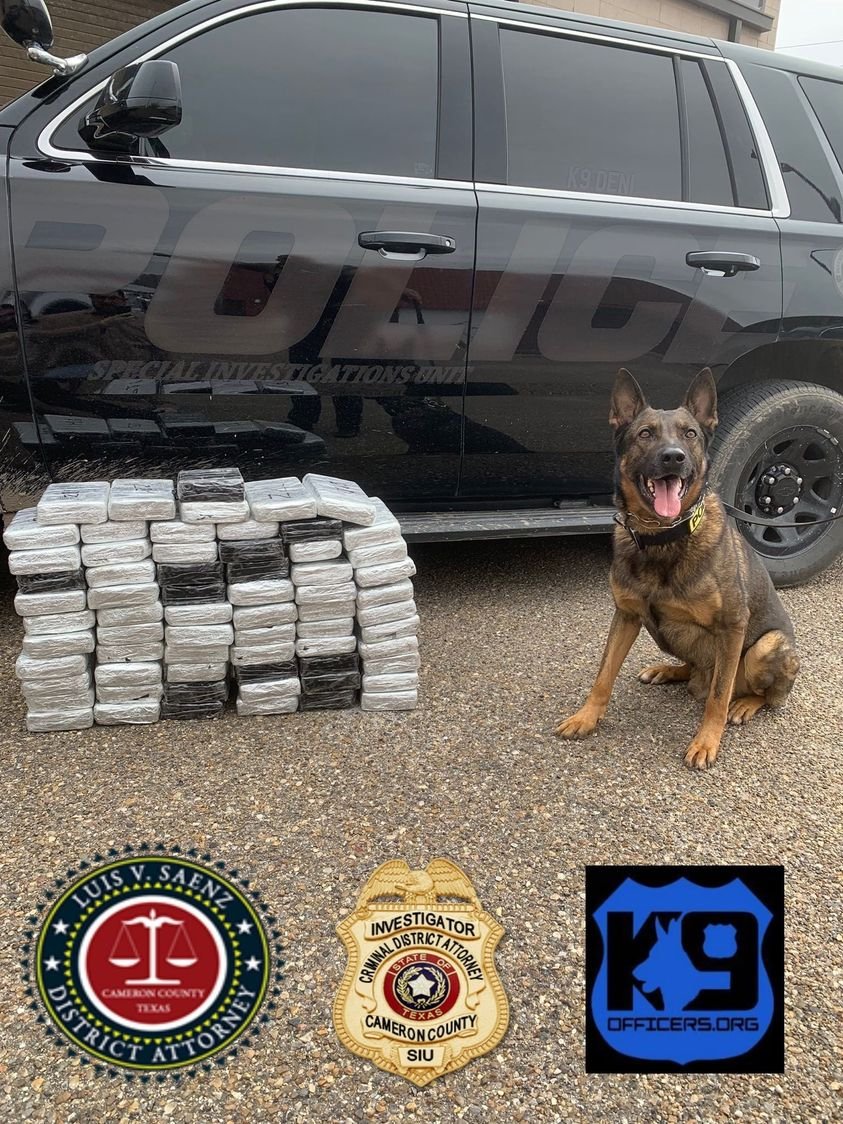 OnPatrolK9's tweet photo. K-9 alerts authorities, cocaine seized
👊154 pounds, nice job, boy. 
K9 Deni, Cameron County District Attorneys (CCDA) Special Investigation Unit 
https://t.co/XZKbqFAH7g
#BackTheBlue #ThinBlueLine #dog #K9 #police #military #MWD #WaronDrugs #LivePD https://t.co/JV21XLXVJ9