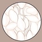 BeastlySheStud's tweet photo. [🖤][#LewdRP][#OpenDM]!ღ~
Daily reminder of the difference between average male human sperms.

And average hung Hellhound's egg 𝙒𝙊𝙈𝘽-𝙏𝘼𝙄𝙉𝙏𝙄𝙉𝙂 fertilizers!ღ~ https://t.co/lRVIrOf0hZ