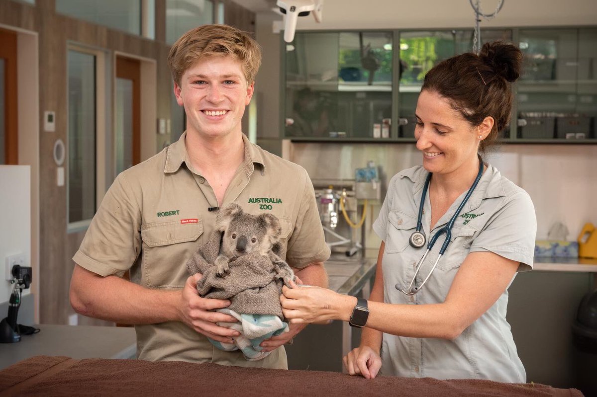 wildwarriors's tweet image. The #AustraliaZoo Wildlife Hospital is proud to open a brand-new Koala ICU Ward, named the Perry MacFarlane Intensive Care Ward, which will provide specialised treatment to koalas as well as platypus and echidnas, including patients affected from drought and bushfire.