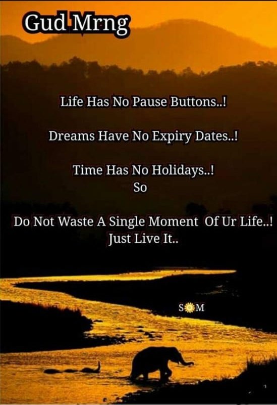 someshrathore16's tweet photo. ॰••••••✤••••••॰
"सादगी" परम "सौंदर्य" है
"क्षमा" उत्कृष्ट "बल" है
"विनम्रता" सबसे अच्छा "तर्क" है
"विवाद" का हल "मौन" बेहतर है
और
"अपनापन" सर्वश्रेष्ठ "रिश्ता" है
☀️ सुप्रभात
॰••••••#Som19••••••॰ https://t.co/sirbmzkPM4