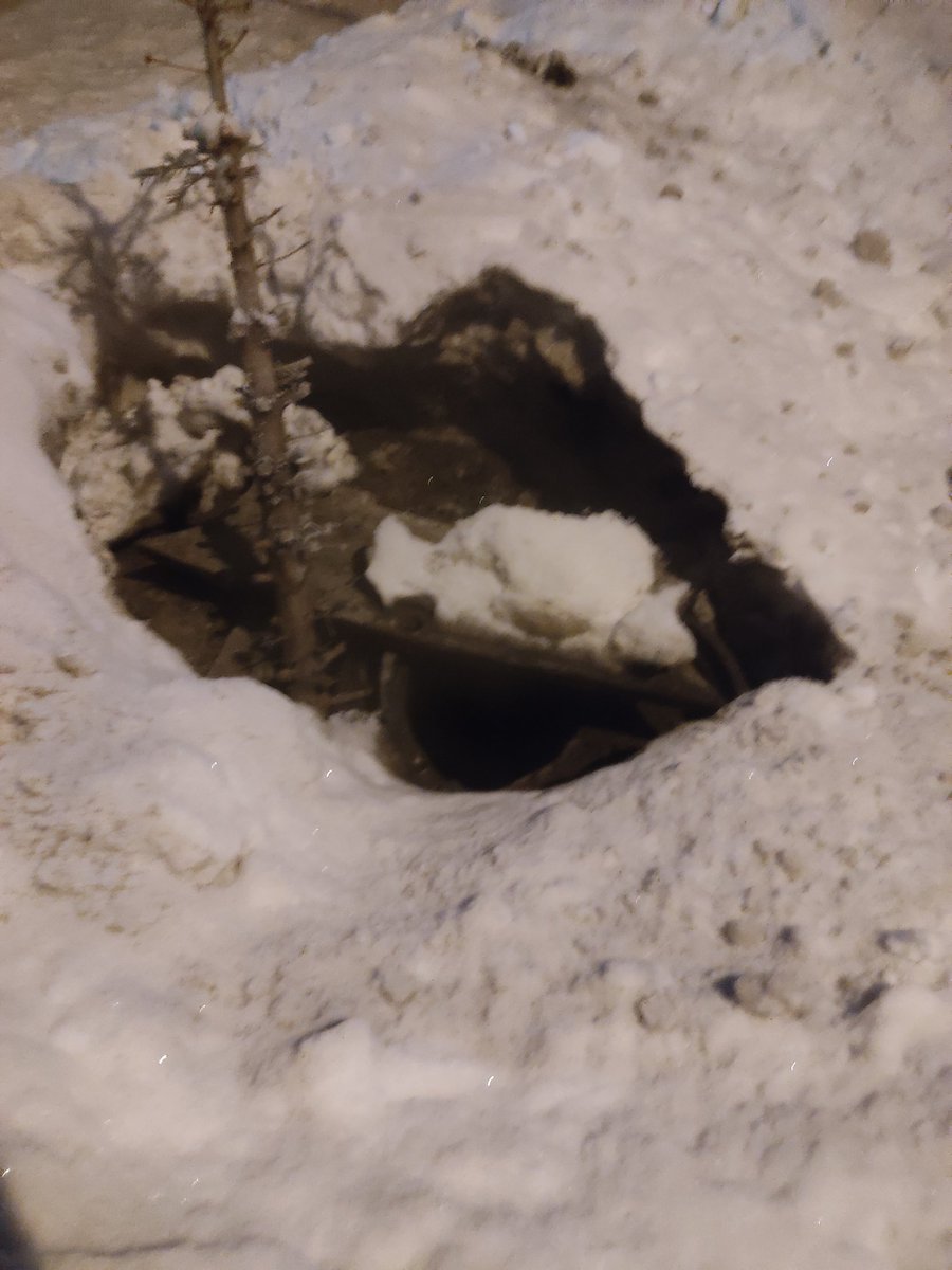 Сергей tweet media