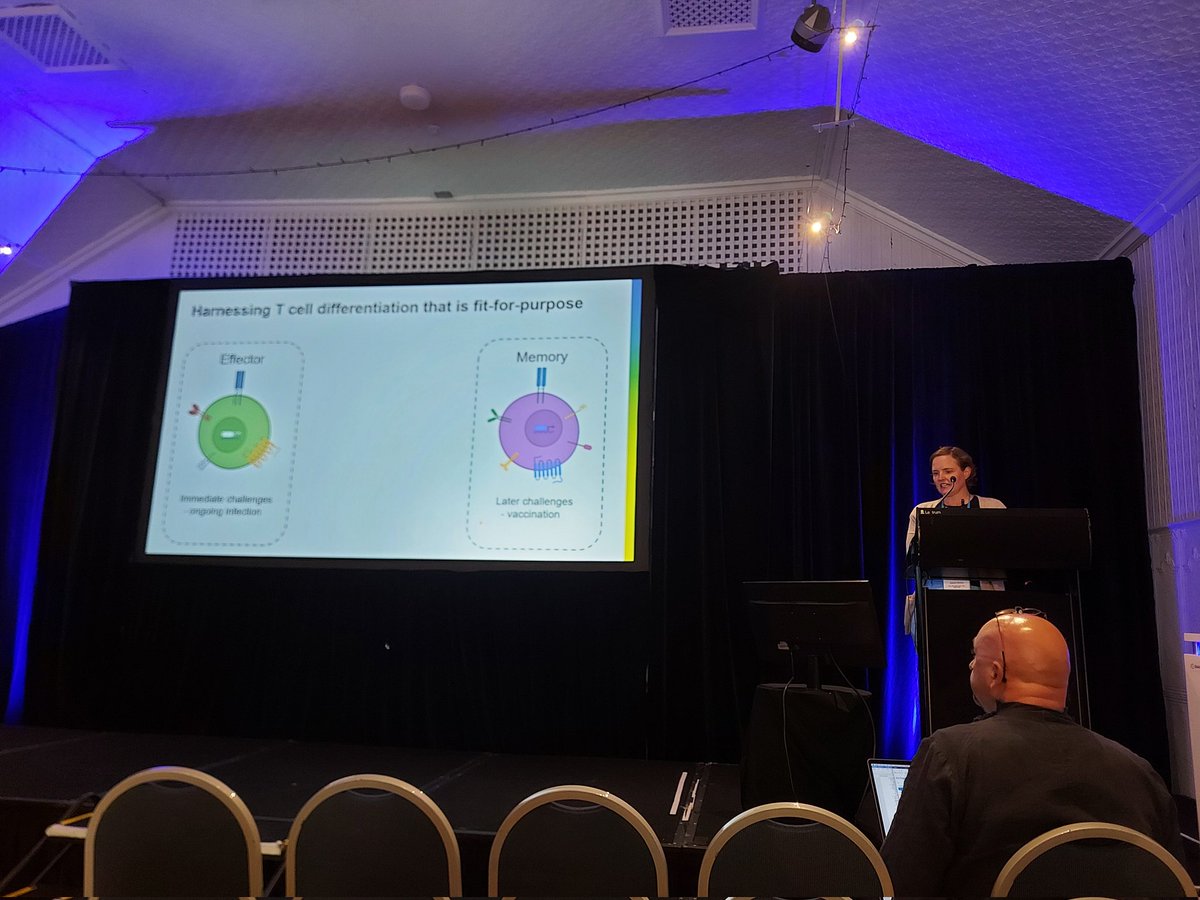 science_sophie's tweet photo. Stunning #lightsheet #microscopy of whole (yes, whole) lymph nodes to understand #CD8Tcell #effector and #stemlikememory fates by A/Professor Jo Groom... read her papers and experience #tcellbiology in the most visually stunning way. #lorneiandi @groomlab https://t.co/zCAuzMka2W