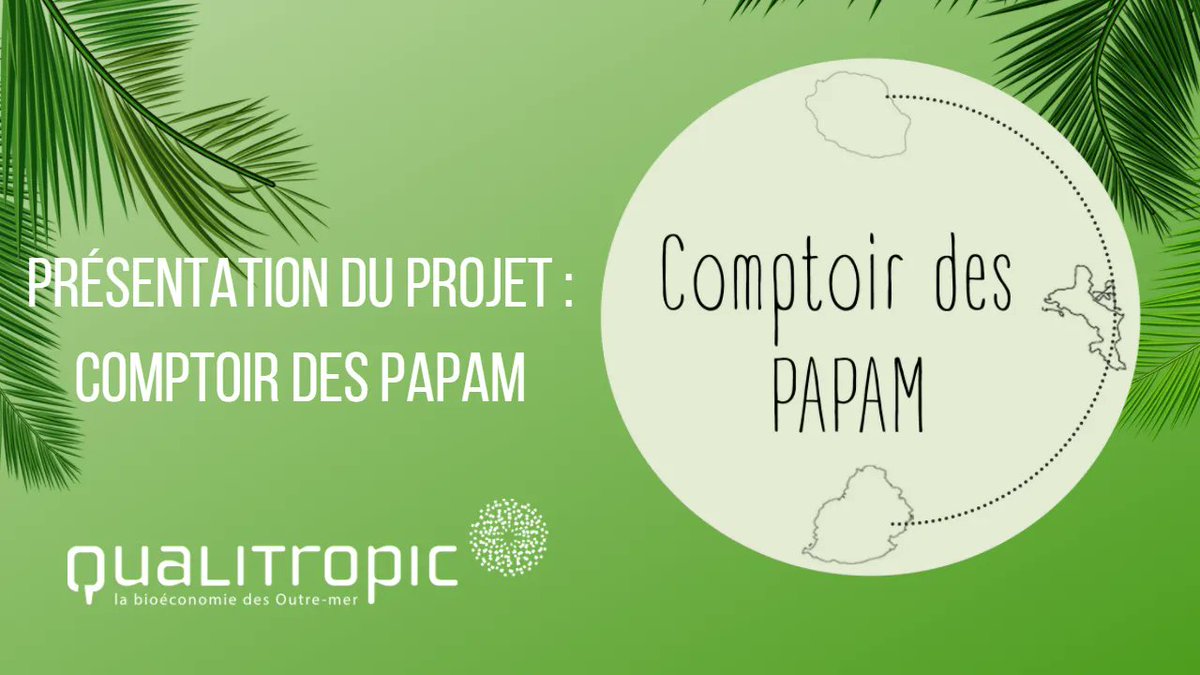 Le Comptoir des Papam 🌺

Le projet « Comptoir des PAPAM » présenté par Jérôme Vuillemin et Alain Tubiana du cabinet Gnomon 🎥

Pour en savoir plus sur le projet 👉buff.ly/3HPGHTM 

La vidéo 🎥  👉 buff.ly/3uRCZp9