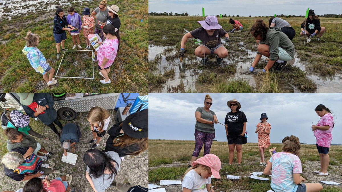 Blue Carbon Lab (@bluecarbonlab) on Twitter photo News from the field!
What a pleasure it was to introduce the next generation to #bluecarbon research in Gippsland at the end of last month. Kids also got to learn about wetland bugs and cultural heritage. #BlueCarbonArmy #CitizenScience
More info 👉 bit.ly/3GVNYA4 News from the field!
What a pleasure it was to introduce the next generation to #bluecarbon research in Gippsland at the end of last month. Kids also got to learn about wetland bugs and cultural heritage. #BlueCarbonArmy #CitizenScience
More info 👉 bit.ly/3GVNYA4