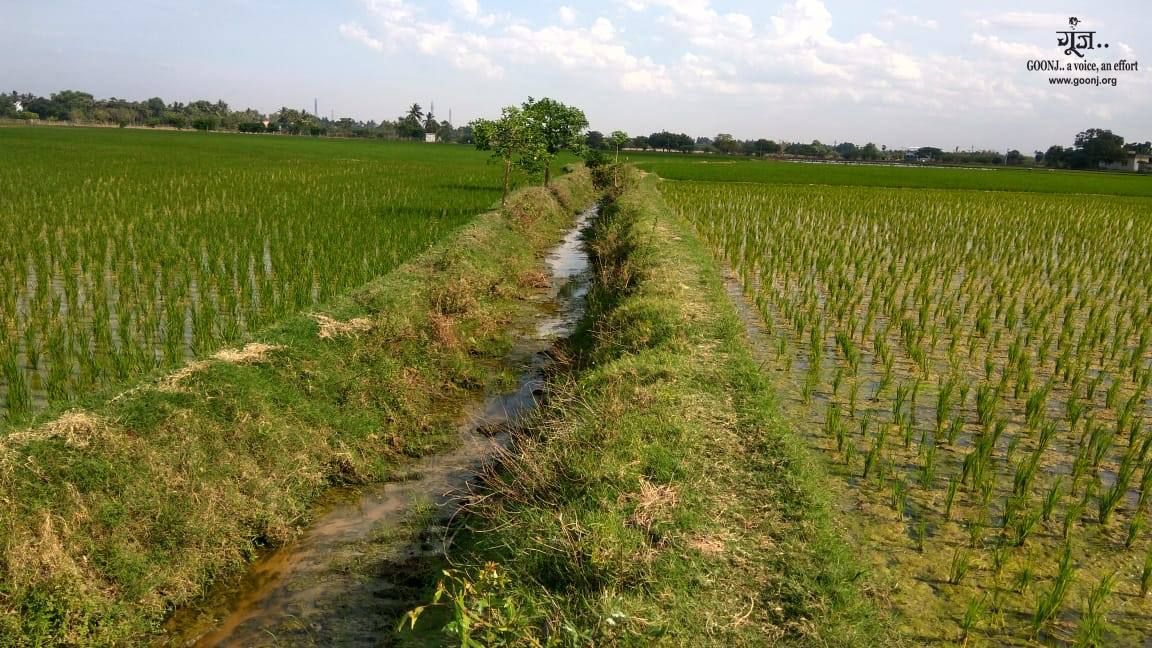 anshugoonj's tweet photo. Resource- local equipment, grassroot wisdom and efforts
Revival- of Barter economy, Value of Local wisdom and skills, Effective portrayal of collective responsibility, and where even our underutilized household material becomes a huge resource.
#dignityforwork #clothforwork https://t.co/g1N4syZHZE