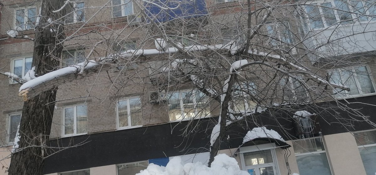 Оксана Шишкина tweet media