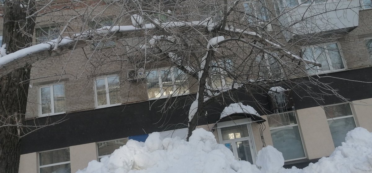 Оксана Шишкина tweet media