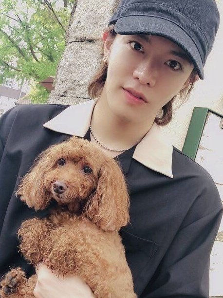 yuwinfolder's tweet photo. #YUTA &amp; #WINWIN with Rapu-chan and Wang 🐶🐾 https://t.co/tCBEpEyhly