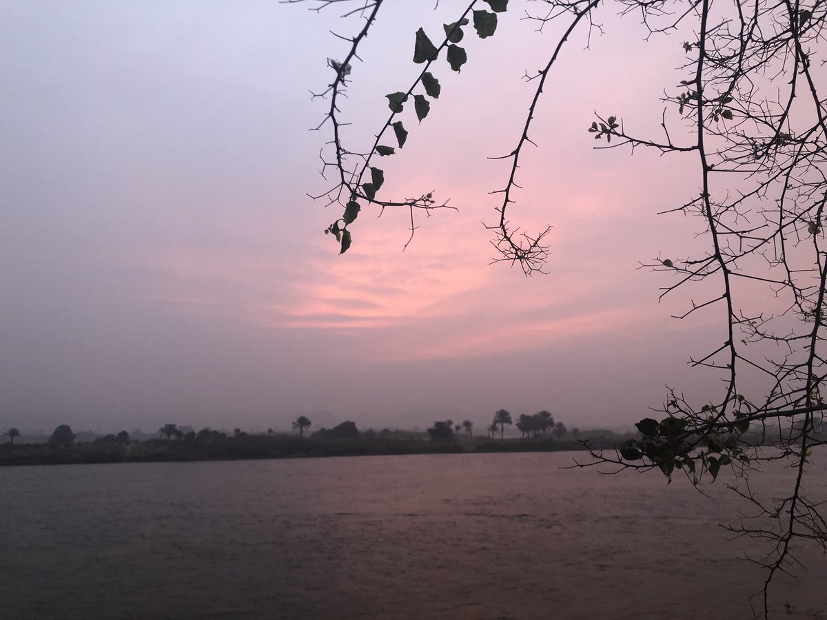nsamak's tweet photo. When the sun is shy…#mornings #sunrise #Egypt https://t.co/ByhWt7PmPV