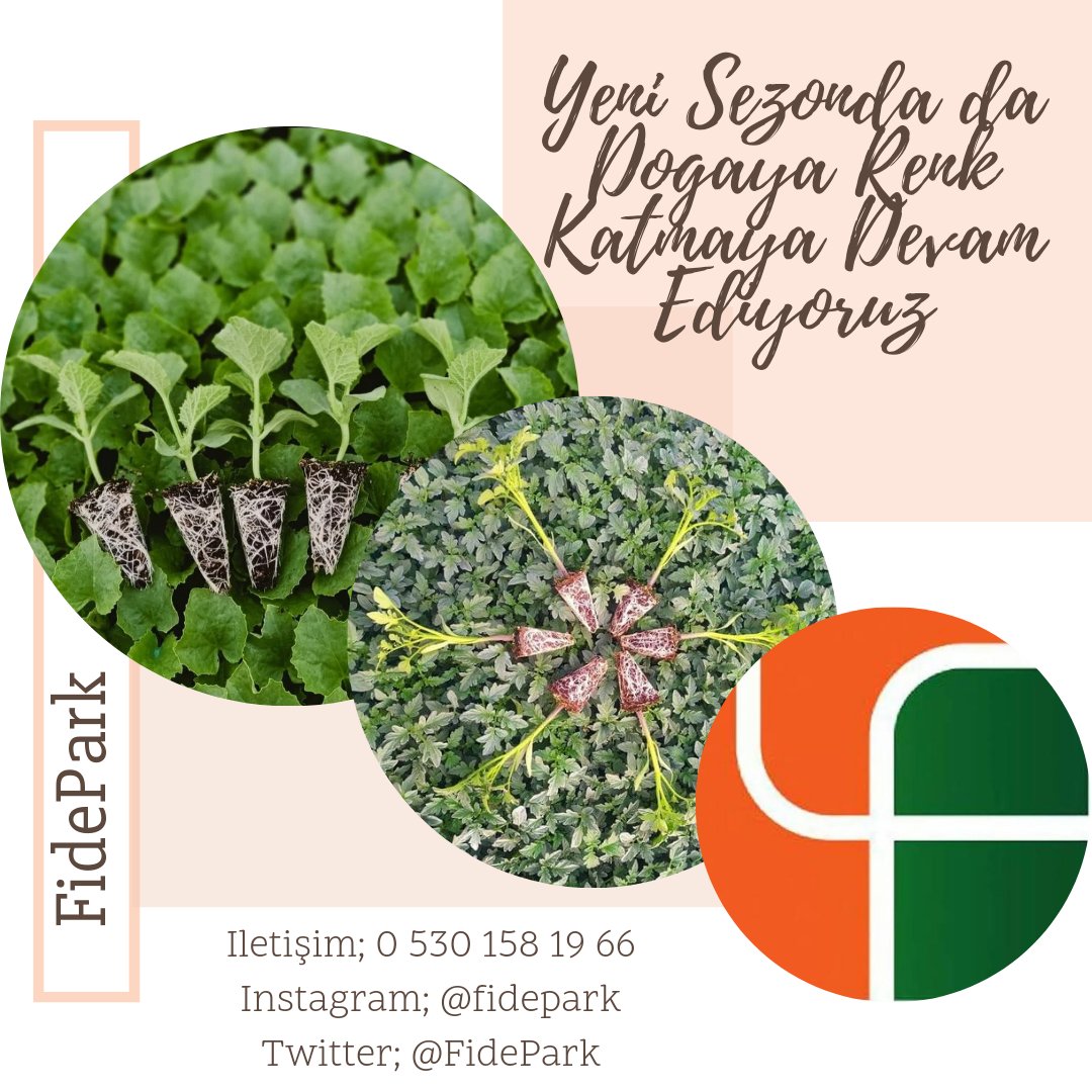 İşimizin başındayız,
Yeni sezonda da "Doğaya Renk Katıyoruz.."
İletişim; 0 530 158 19 66

#FidePark
#DoğayaRenkKatıyoruz