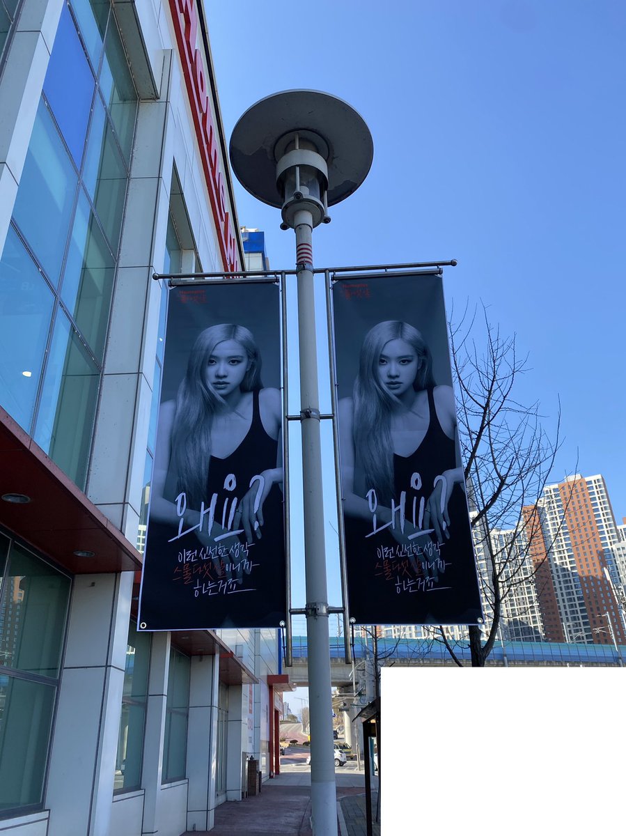 whismylo's tweet image. 챙플러스 최고🖤🤘