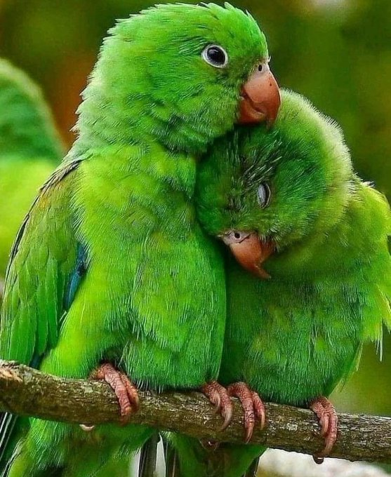 Goins (@margarettegoins) on Twitter photo 